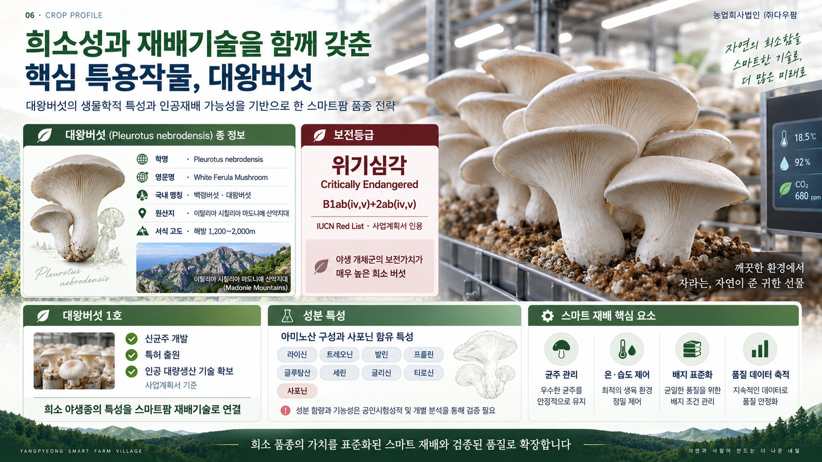 대왕버섯 품종 특성과 스마트 재배 핵심 요소
